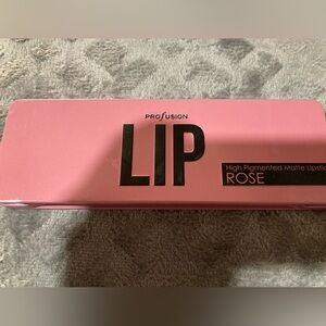 Profusion Cosmetics High Pigmented Matte Lipstick - Rose